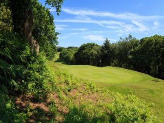 images/Courses/Shanklin/hole-5-img_9521-1537294296.jpg